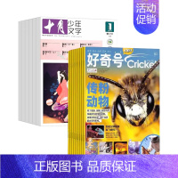 十月少年+好奇号 24年6月-25年5月 [正版]十月少年文学2024年刊订阅12期8-15岁儿童期刊杂志课外阅读曹文轩