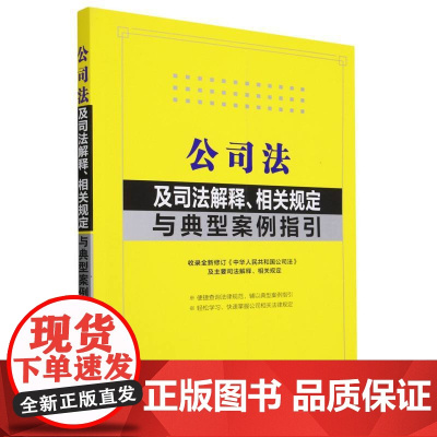 公司法及司法解释、相关规定与典型案例指引[大16开黄底书