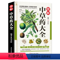 [正版] 彩图全图全解中草药大全 中药材识别图鉴书籍 中医入门中草药大全书籍药材植物彩图中药大全书中医大全书中药中草药