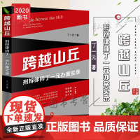 D 正版 跨越山丘 刑辩律师丁一元办案实录 丁一元 法律出版社 刑事辩护 案例 技巧 律师