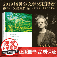 缓慢的归乡 2019年诺贝尔文学奖获奖者作品 彼得·汉德克 著;周新建 梁锡江 译 上海人民出版社 正版书籍