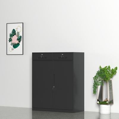 臻远ZY-WJGC-35文件柜窄边矮柜拆装档案柜书柜 黑色二斗矮柜