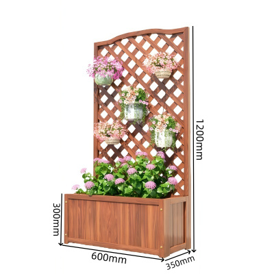 伊洛源装饰花架600*350*1200mm个