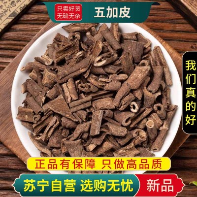 甄选五加皮100克干货煮水泡茶南五加皮刺五加正品新货杜仲红参远志