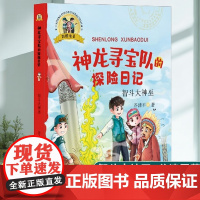 神龙寻宝队的探险日记彩图注音智斗大神巫在故事中了解中国历史一二年级小学生暑假历史启蒙冒险刺激故事6-9岁儿童故事书带拼音