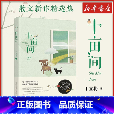十亩间 [正版]十亩间 丁立梅十年散文集中高考作文范文现代文学阅读书籍可撘暗香遇见向着美好奔跑丁立梅散文作品全套