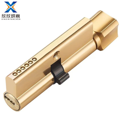 欣欣妍宸 铜锁芯 小70中/个