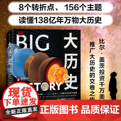 DK大历史 从宇宙大爆炸到我们人类的未来 大卫克里斯蒂安著 千幅信息图的视觉盛宴 一本书看见138亿年万物史