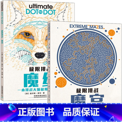 [正版]极限挑战 魔宫+魔线 2册 迷宫挑战 儿童脑力记忆力训练左右脑开发 逻辑思维训练全脑开发思维训练 注意力专注力