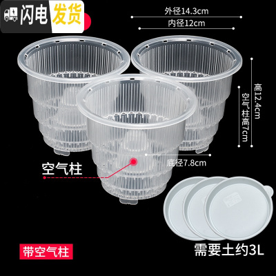 三维工匠美莳控根花盆石斛专用盆 透气 洋兰花盆蝴蝶兰盆塑料花盆创意透明 3只12cm透明带空气柱[含托盘] 小花盆容器