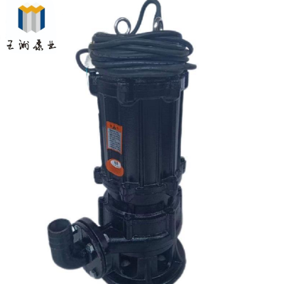 五洲泵业 切割型排污泵 80GNWQ40-13-3 台