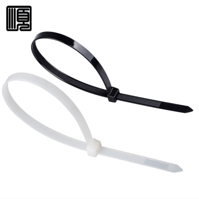 顺心捷 自锁式尼龙扎带 3×100mm 1000根/包