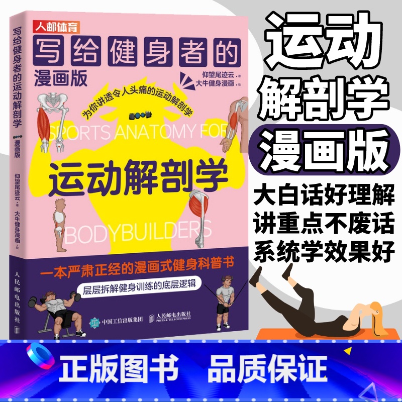 写给健身者的运动解剖学 + 腰肩膝功能强化训练+精准拉伸 [正版]健身书籍写给健身者的运动解剖学漫画版 仰望尾迹云健身训