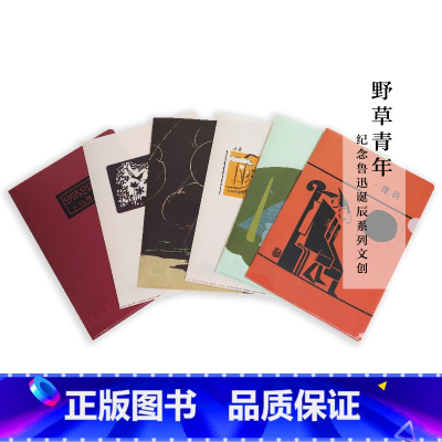 [正版]鲁迅作品书封文件夹 鲁迅野草青年 呐喊彷徨野草朝花夕拾坟一套6款封面A4尺寸 新青年创意礼品文具 后浪品牌