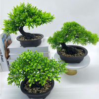 丛信哲盆景假花P2