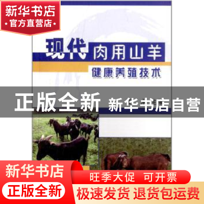 正版 现代肉用山羊健康养殖技术 王永主编 中国农业出版社 978710