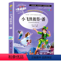 小飞侠彼得潘 [正版]金银岛书 史蒂文森原著 世界经典名著小学生三四五六年级必读课外阅读书籍故事人民青少年儿童版文学读物