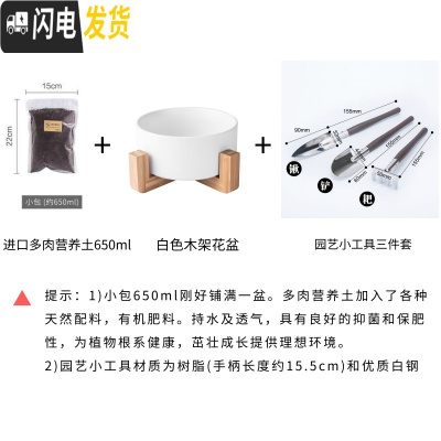 三维工匠ins多肉植物花盆陶瓷北欧简约木架创意无孔绿萝铜钱水培花盆小 白色花盆+多肉土+园艺工具13元 中花盆容器