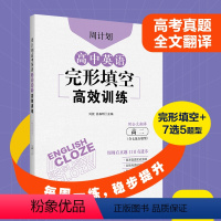 英语 高中二年级 [正版]高中英语完形填空高效训练 高二 含七选五题型 附全文翻译 周计划专版高中英语 江苏全国浙江北京