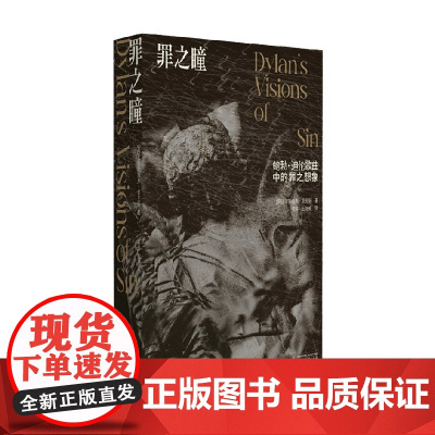 罪之瞳 鲍勃 迪伦歌曲中的罪之想象 克里斯托弗·里克斯 著 文学