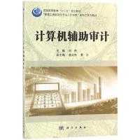 计算机辅助审计