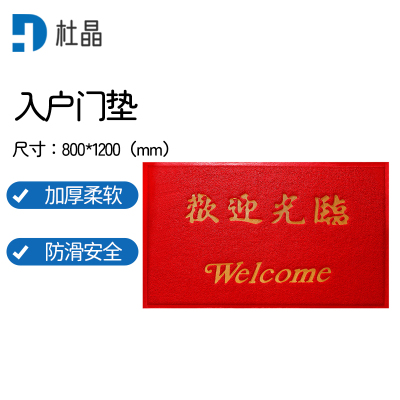 杜晶 DJ-DT246 入户门垫 安全防滑脚垫 丝圈塑料地垫PVC地板 红色0.8米宽
