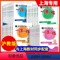 语文(普通版) 一年级上 [正版]华东师大版一课一练三年级上册语文数学英语一二四五六七八九年级上下册物理化学沪教版增强版