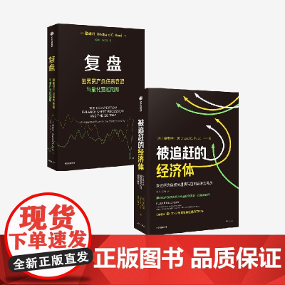 复盘 被追赶的经济体 套装2册 逃离资产负债表衰退与量化宽松陷阱 辜朝明著 中信出版社图书 正版