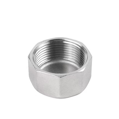伟鹏双兴 304不锈钢六角内丝管帽 DN15(4分) 个