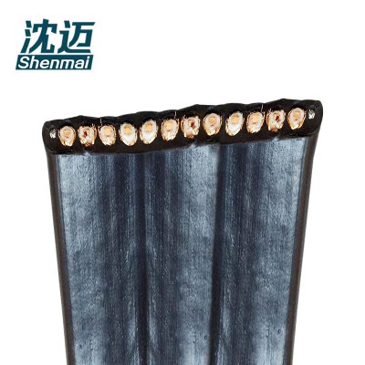 沈迈 扁电缆 YFFBP2G-12*1.0平方毫米 /米