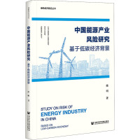 中国能源产业风险研究(基于低碳经济背景)