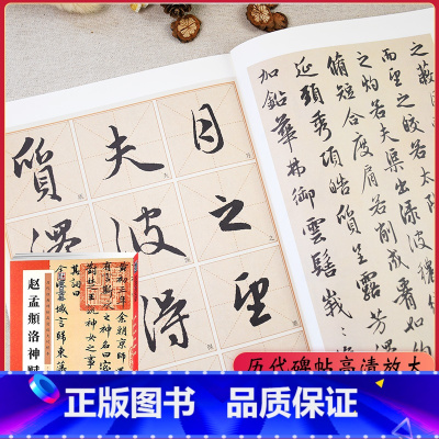 [正版]字帖 赵孟頫洛神赋 历代经典碑帖彩色高清放大对照本 名碑帖精粹名品 赵体 成人行书行楷小楷毛笔描红练字帖