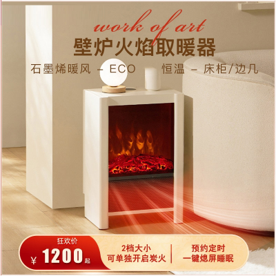 阿斯卡利(ASCARI)取暖器仿真炭火焰电壁炉暖风机速热家用床头柜暖气