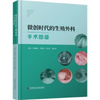 音像微创时代的生殖外科手术图谱柳晓春邓凯贤郑玉华唐运革