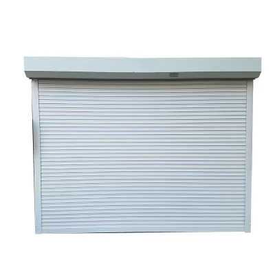 诚智旺 电动卷帘门 JLM-2 /平方米