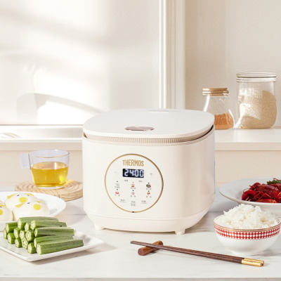 膳魔师微电脑电饭煲3L球釜形电饭锅