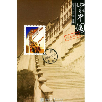 醉染图书山水中国(宁青藏卷)9787301082584