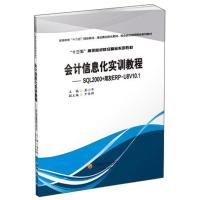 正版新书]会计信息化实训教程彭小年9787550438569