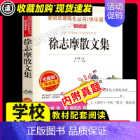 徐志摩散文集 [正版]祝福 鲁迅作品小说集/爱阅读中小学儿童文学名著阅读书目 9-10-12-15岁五六七八年级现当代名