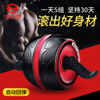 扬子(YANGZI)自动回弹健腹轮YZ-JFL001