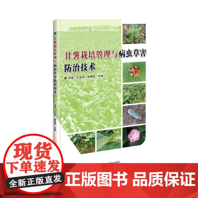 甘薯栽培管理与病虫草害防治技术 岳瑾 王俊伟 杨建国 编 中国农业科学技术出版社9787511658166