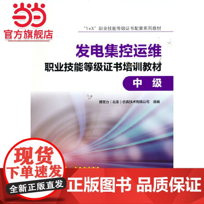 1+X”职业技能等级证书配套系列教材 发电集控运维职业技能等级证书培训教材(中级)