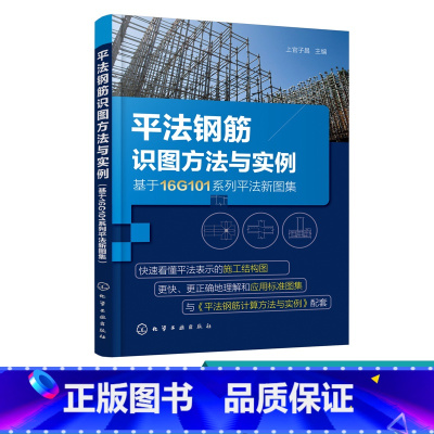 [正版]平法钢筋识图方法与实例 基于16G101系列平法新图集 平法钢筋识图基础施工图识读标准构造详图及识图实例 建
