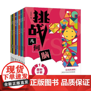 挑战几何脑 10册 麦斯思维 著 智力开发