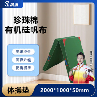 晟渊 YT2015体操垫仰卧起坐垫绿色珍珠棉有机硅布 二折体操垫 5个装 200*100*5cm