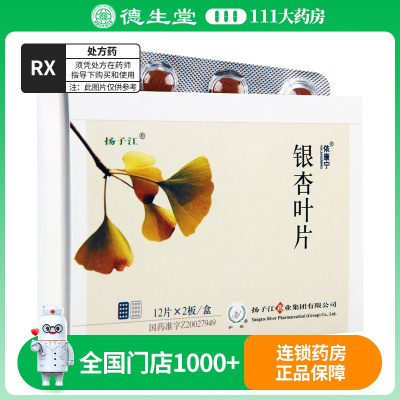 依康宁 银杏叶片 24片/盒