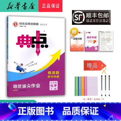 化学 九年级下 [正版] 2025春 新版 荣德基 典中点 化学 九年级下册 人教版