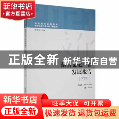 正版 湖南文化产业发展报告(2021) 刘尤碧,贺培育主编 湘潭大