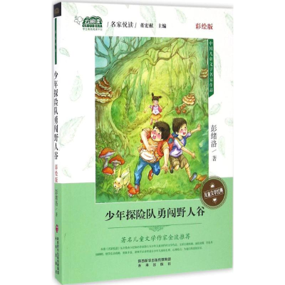 醉染图书少年探险队勇闯野人谷9787541761027