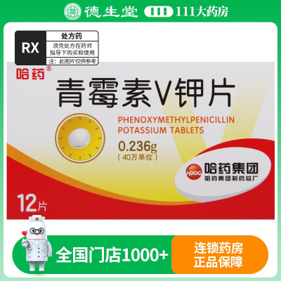 哈药 青霉素V钾片 0.236g*12片/盒